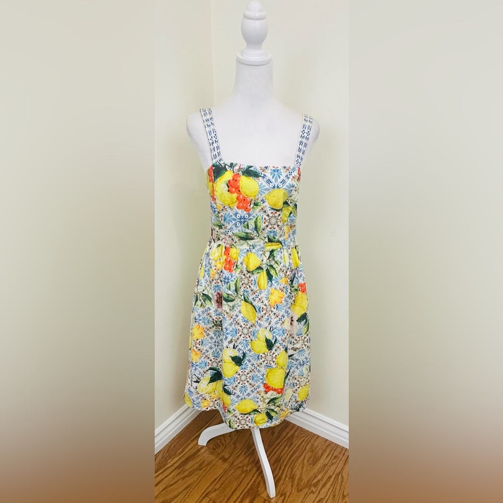 Boston Proper Multicolor Print Dress